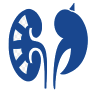 Nephrology